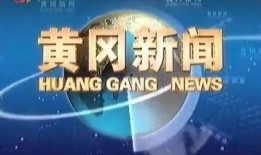 黄冈电视台新闻爆料直播,最新事件追踪报道